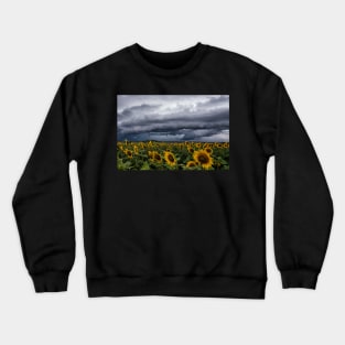 Summer on the Downs Crewneck Sweatshirt